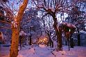 Neve Sebastiano Zingone (7)